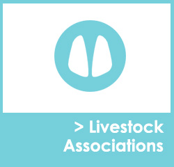 Livestock Association Websites