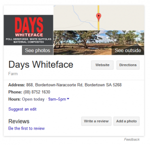 Days Whiteface - Google Business Page Snapshot